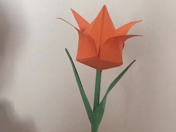 “折”一枝花,喜迎春天
